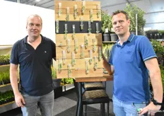 Vitro Westland represented by Leon van Erven enand Jacco Bos. They were presemting a boad assormetn of outdoor plants and perennials.